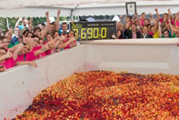 8.69 tonnes of apples, melons, pineapple and kiwi went into the the World's Largest Fruit Salad. 