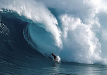 Largest wave surfed: Garrett McNamara sets world record