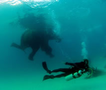 scuba diving in the most countries world record set by Karin Sinniger